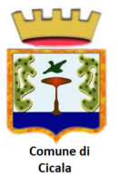 cicala2
